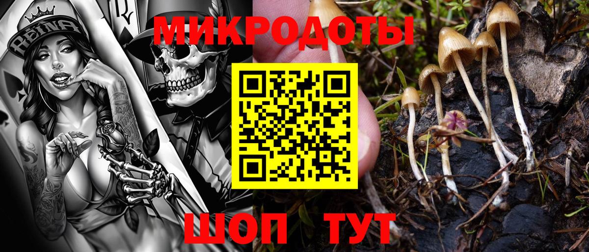 Холмск  Галлюциногенные грибы мицелий  Вход с VPN 