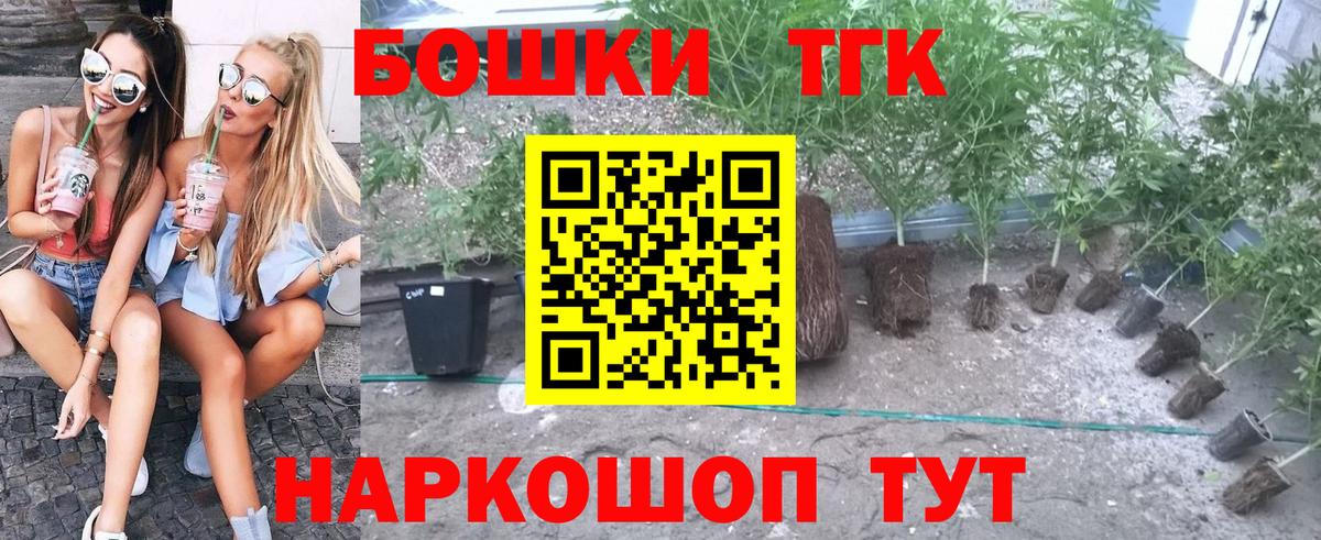 Каннабис сатива Холмск